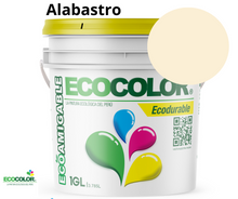 Cargar imagen en el visor de la galería, Pintura Ecológica ECODURABLE